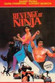 Revenge of the Ninja 1984 one on netflix