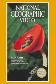 Rain Forest 1983 one on netflix