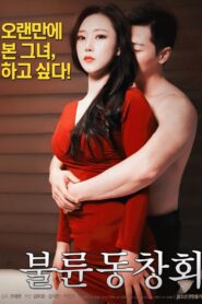 Adultery Alumni Association 2018 one on netflix