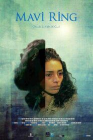 The Blue Van 2013 one on netflix