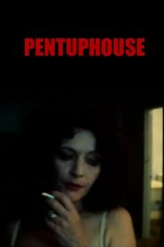 Pentuphouse 1998 one on netflix