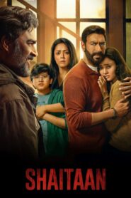 Shaitaan 2024 one on netflix