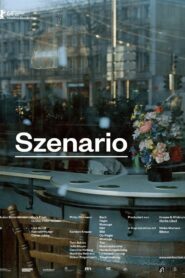 Scenario 2014 one on netflix
