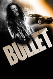 Bullet 2014 one on netflix