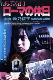 Dangerous Roman Holiday 1993 one on netflix