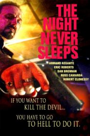 The Night Never Sleeps 2012 one on netflix
