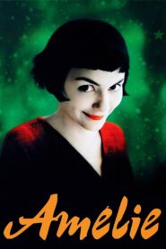 Amélie 2001 one on netflix
