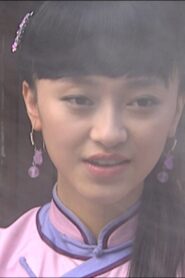 燕子符 2008 one on netflix
