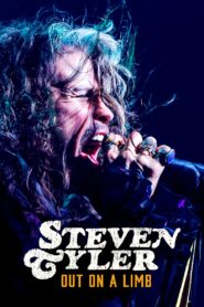 Steven Tyler: Out on a Limb 2018 one on netflix