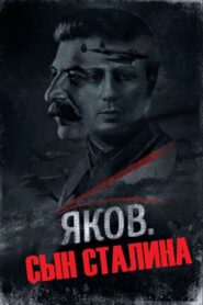 Son of Stalin 1990 one on netflix