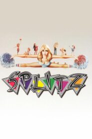 Splitz 1984 one on netflix