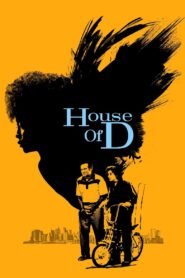 House of D 2004 one on netflix
