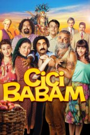 My Step Dad: The Hippie 2018 one on netflix