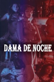 Dama de Noche 1998 one on netflix