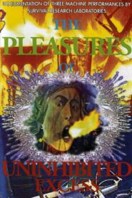 The Pleasures of Uninhibited Excess 1991 one on netflix