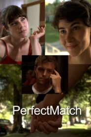 PerfectMatch 2012 one on netflix