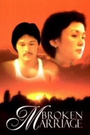 Broken Marriage 1983 one on netflix