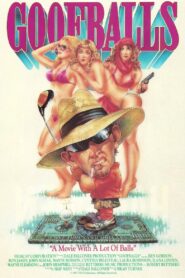 Goofballs 1987 one on netflix