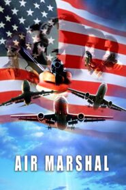 Air Marshal 2003 one on netflix