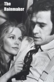 The Rainmaker 1982 one on netflix