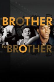 Brother to Brother 2004 one on netflix