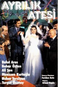 Ayrılık Ateşi 1986 one on netflix