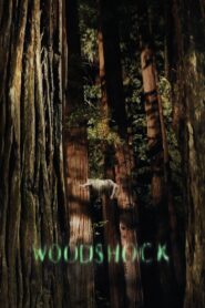 Woodshock 2017 one on netflix