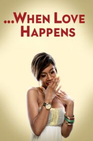 When Love Happens 2014 one on netflix