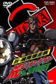 Arakure Knight 1997 one on netflix