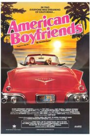 American Boyfriends 1989 one on netflix