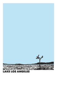 Lake Los Angeles 2014 one on netflix