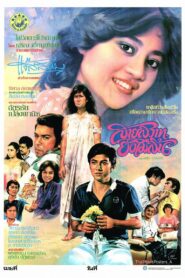 Sai Sawat Yang Mai Sin 1982 one on netflix