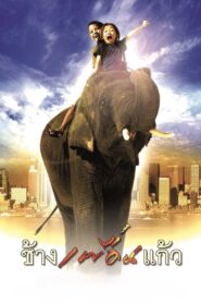 The Elephant Boy 2003 one on netflix