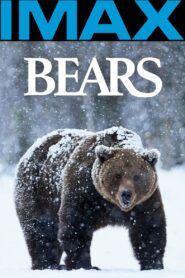Bears 2004 one on netflix