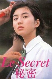Le Secret 1999 one on netflix