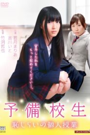 Otona shigan: Hajirai no hatsujô 2016 one on netflix