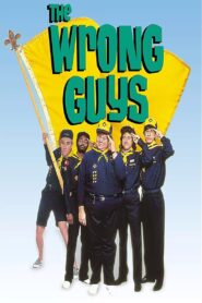The Wrong Guys 1988 one on netflix