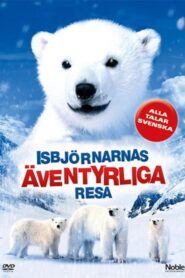 The Great Polar Bear Adventure 2006 one on netflix