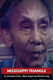 Mississippi Triangle 1984 one on netflix