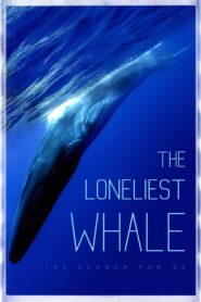 The Loneliest Whale: The Search for 52 2021 one on netflix