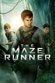 The Maze Runner 2014 one on netflix