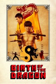 Birth of the Dragon 2017 one on netflix