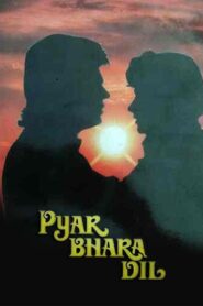 Pyar Bhara Dil 1991 one on netflix