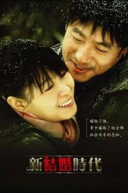 新结婚时代 2006 one on netflix