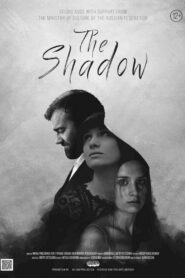 The Shadow 2016 one on netflix