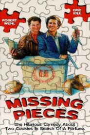 Missing Pieces 1992 one on netflix