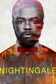Nightingale 2014 one on netflix