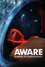 Aware: Glimpses of Consciousness 2021 one on netflix