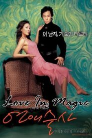 Love in Magic 2005 one on netflix
