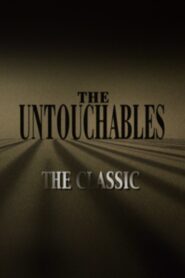 The Untouchables: The Classic 2004 one on netflix